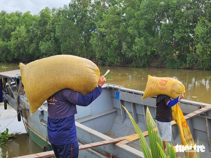 Mua tạm trữ lúa gạo: Nông dân mừng, doanh nghiệp được ‘tiếp sức’ - Ảnh 4.