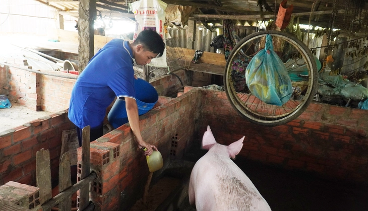 Xúc động hình ảnh cậu học trò Đất Mũi xách cặn, lượm ve chai trên đường đến trường  - Ảnh 13.