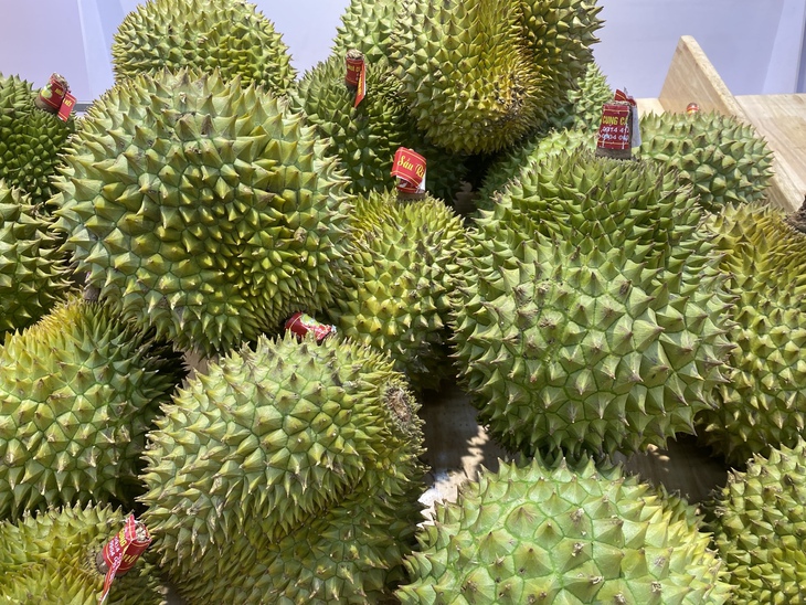 sầu riêng - Ảnh 2.