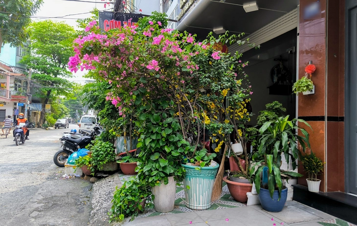 Chậu cây, ghế đá chiếm lối đi: ‘Đi bộ trên vỉa hè mà như đi nhờ nhà người khác’ - Ảnh 3.