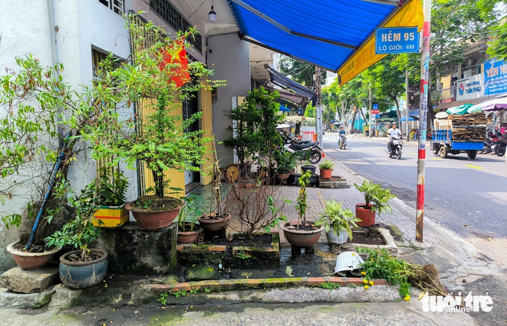 Chậu cây, ghế đá chiếm lối, 'đi bộ trên vỉa hè mà như đi nhờ nhà người khác’ - Ảnh 1.