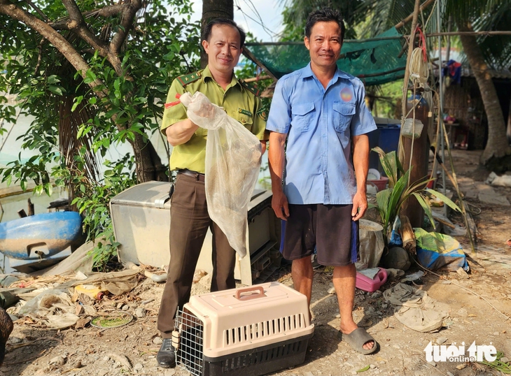 Người dân ở Bình Chánh giao khỉ đuôi dài bị cụt đuôi cho kiểm lâm - Ảnh 2.