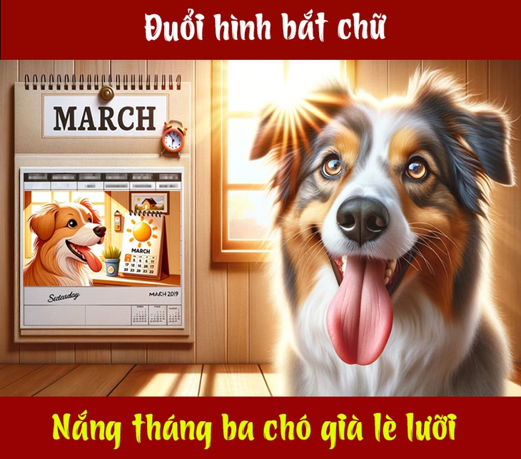 Câu tục ngữ, thành ngữ 'khó nhằn' này là gì? (P105) - Ảnh 1.