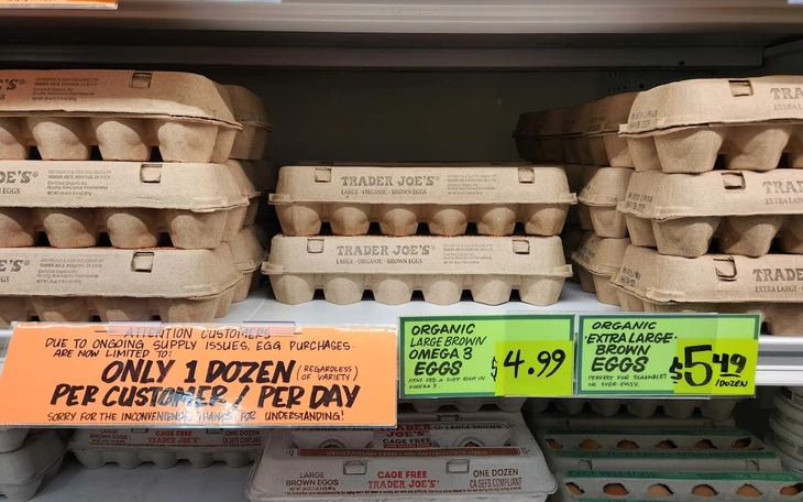 Chuyên gia cảnh báo chủng cúm H9N2 đang thích nghi với cơ thể người - Ảnh 3.