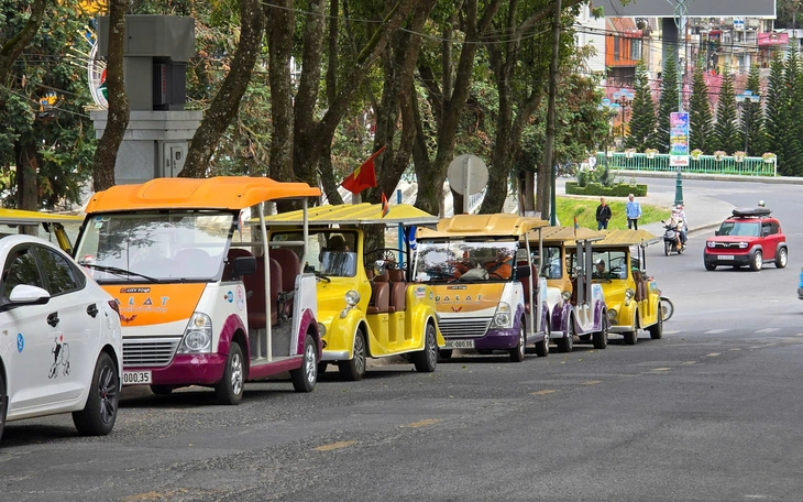 Xe điện du lịch 'nằm kho', doanh nghiệp gặp khó - Ảnh 2.