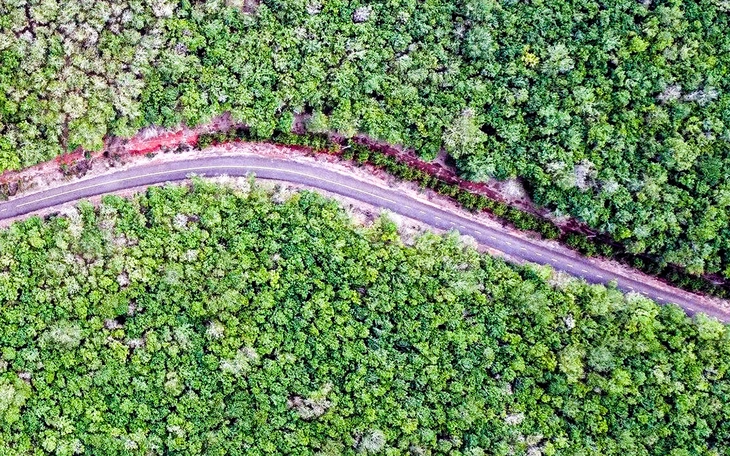 Dân than dự án nâng cấp, mở rộng ĐT 753 nối cầu Mã Đà thi công chậm, nhiều tai nạn xảy ra - Ảnh 23.