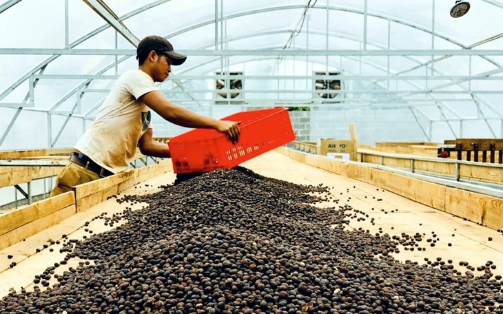 Đón thị trường du lịch Halal 350 tỉ USD, Việt Nam 'khát' lao động - Ảnh 2.