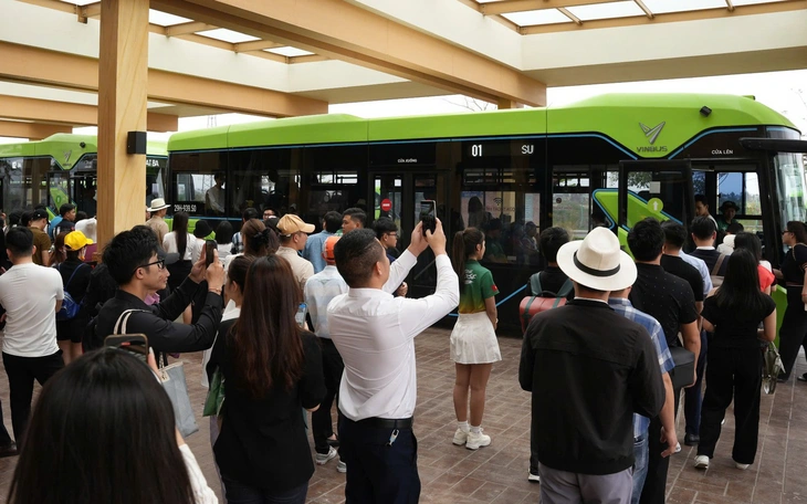 Cung đường Cát Bà đẹp như mơ khiến du khách say đắm quên lối về - Ảnh 9.