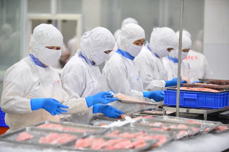 Nông sản Việt Nam có mặt ở hầu hết các quốc gia, vùng lãnh thổ trên thế giới - Ảnh 2. nông sản - Ảnh 2.