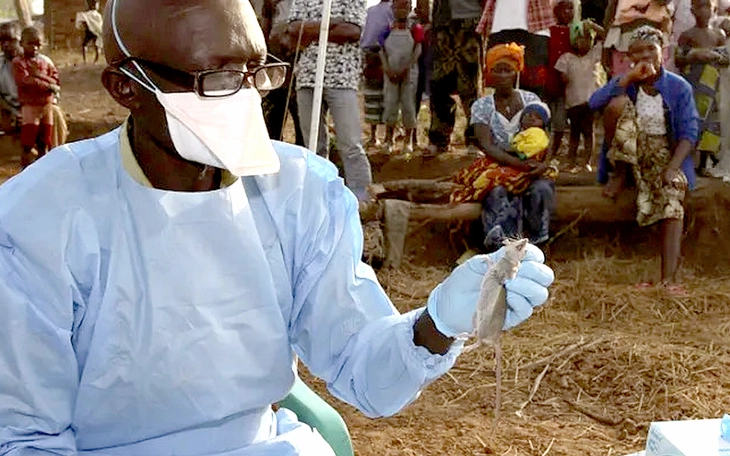 Người Nigeria ăn thịt thú rừng ngày càng nhiều khiến bác sĩ lo ngại nguy cơ dịch bệnh - Ảnh 2.
