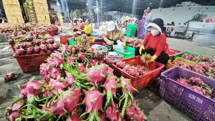 áp thuế - Ảnh 1.