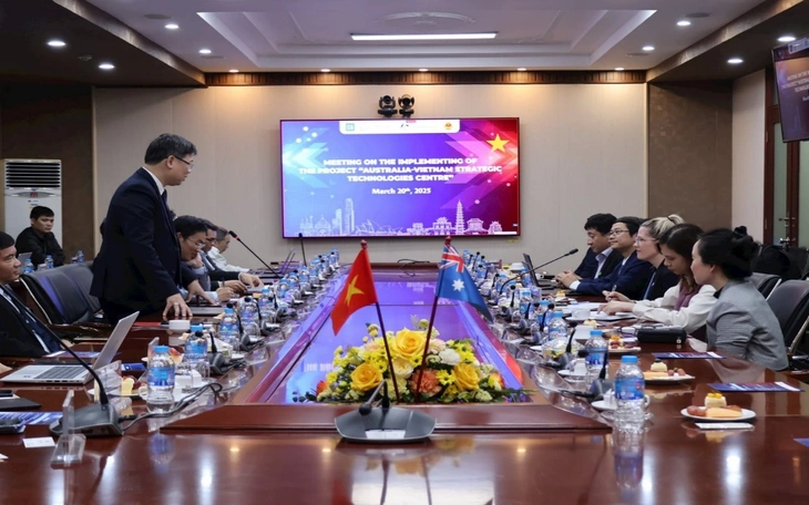 Trồng khoai mì, nuôi cá mú kiểu Úc - Ảnh 2.