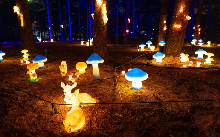 Sáp nhập tỉnh Lâm Đồng: miễn phí vào cửa công viên ánh sáng Delight Park hồ Than Thở - Ảnh 2.