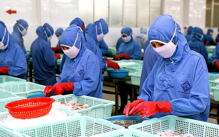 Từ tôm đến gỗ, doanh nghiệp Việt tăng tốc giao hàng sang Mỹ - Ảnh 3.