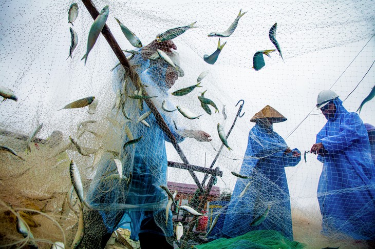 Nhiếp ảnh - Ảnh 4.