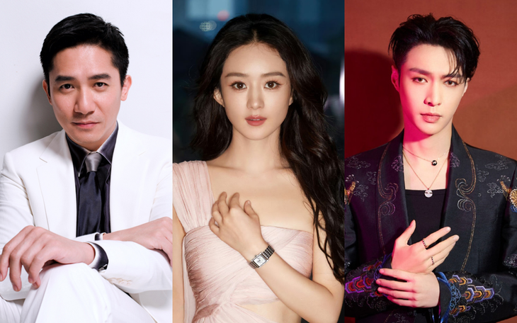 Hoa hướng dương thua lỗ, kế hoạch 'chạy giải' của Triệu Lệ Dĩnh thất bại? - Ảnh 1.
