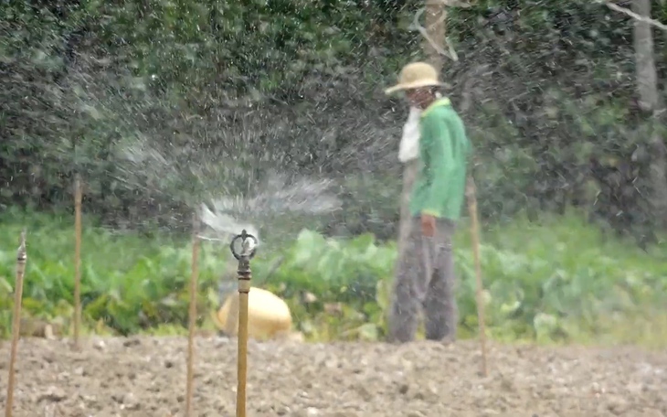 Đồng Tháp lên phương án đảm bảo nguồn nước cho vùng ngọt hóa Gò Công - Ảnh 2.