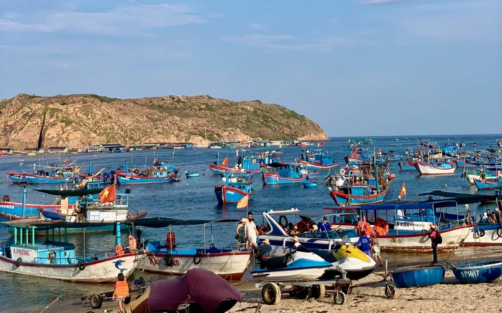 Quy Nhơn tạm dừng hoạt động mô tô nước sau vụ tai nạn khiến 1 bé gái thiệt mạng - Ảnh 2.