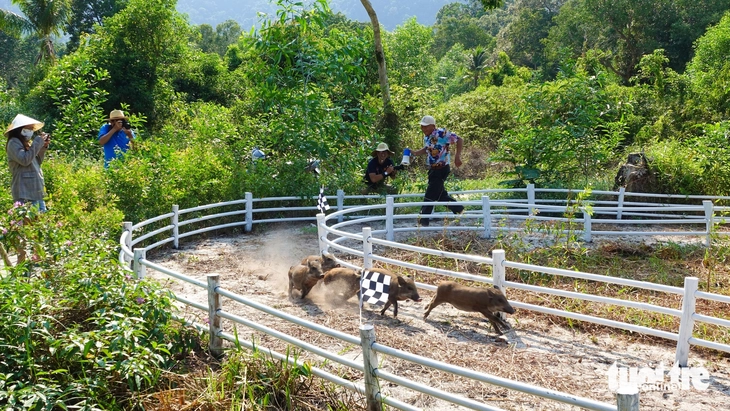Phú Quốc - Ảnh 3.