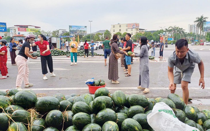 500 sào dưa hấu tới ngày thu hoạch chết khô trên ruộng, vì sao? - Ảnh 5.