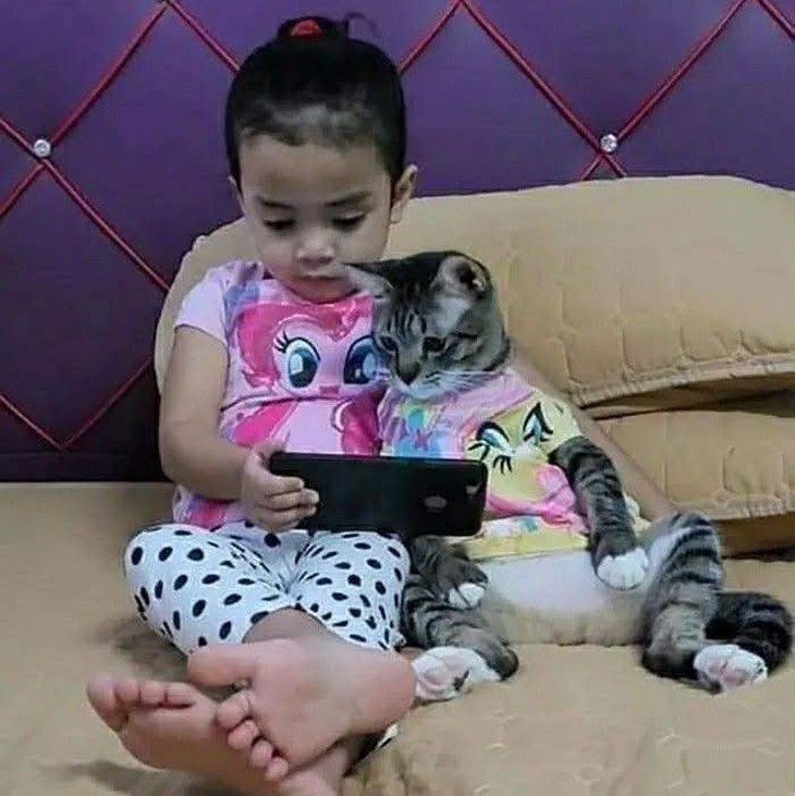 heo Peppa - Ảnh 4.