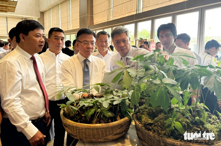 Đưa Quảng Nam thành trung tâm công nghiệp dược liệu cả nước, lấy sâm Ngọc Linh là cây chủ lực - Ảnh 1.
