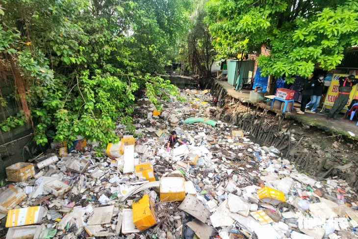 kênh Hy Vọng - Ảnh 1.