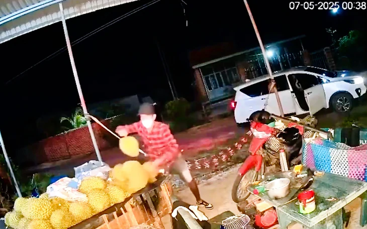 Thanh niên Hải Phòng trộm sầu riêng của người dân Đắk Lắk - Ảnh 3.
