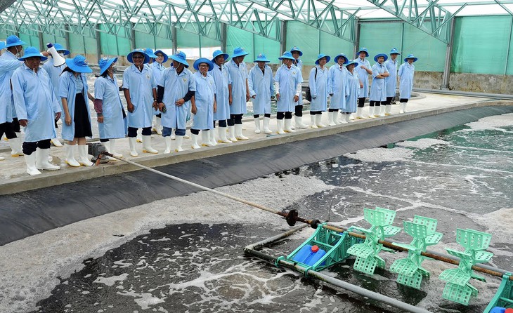 Thu hút người tài ngành nông nghiệp và môi trường: Đãi ngộ gắn với cổ phần, doanh thu dự án? - Ảnh 1.