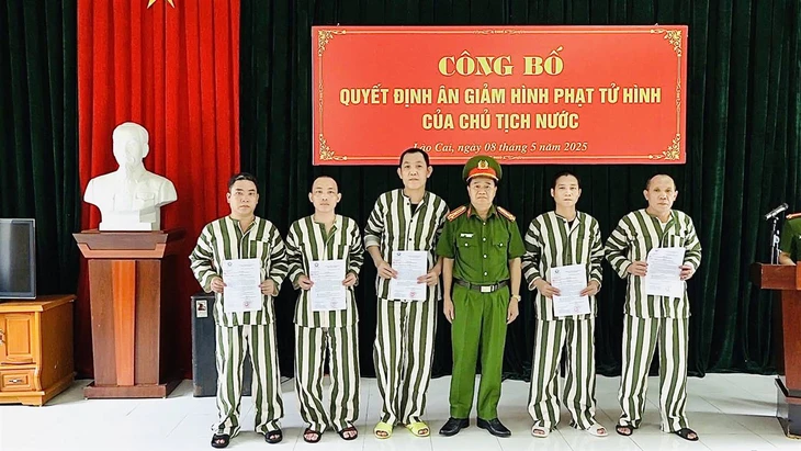 chủ tịch nước - Ảnh 2.