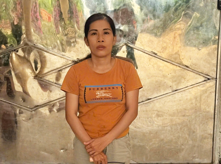 gây thương tích - Ảnh 1.