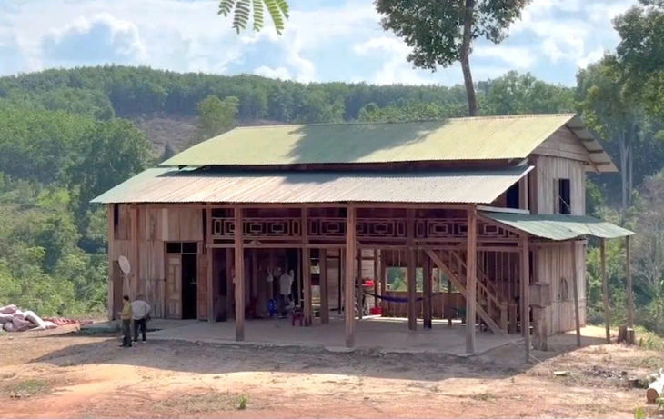 phá rừng - Ảnh 3.