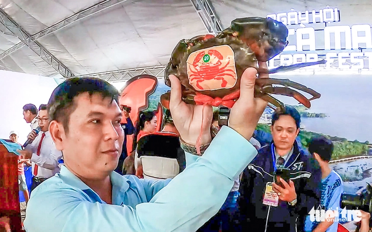Tìm ‘thí sinh cua’ lớn nhất tại ngày hội cua Cà Mau lần 2 - Ảnh 1. CUA CÀ MAU - Ảnh 1.