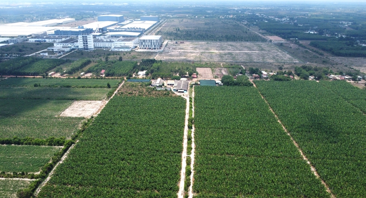 thi hành án - Ảnh 1.