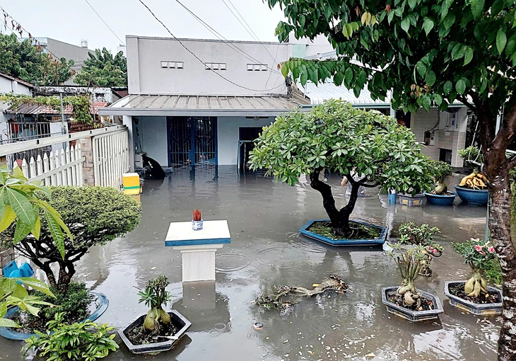 ngập - Ảnh 4.