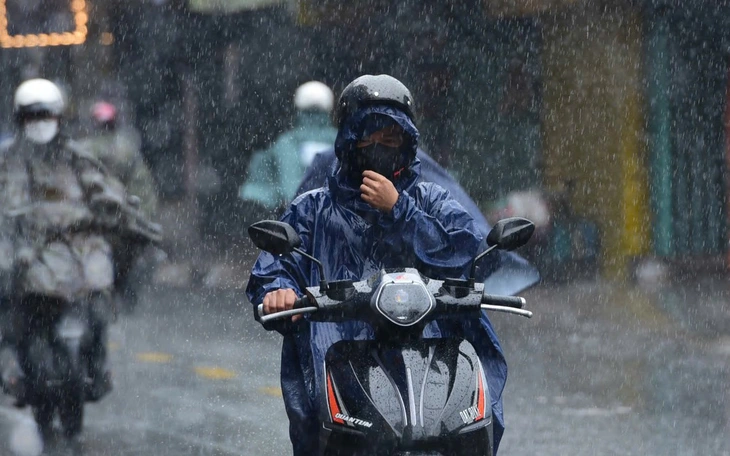 Đồng Nai: Dông lốc làm nhiều cây gỗ lớn ngã đổ, một phụ nữ bị thương - Ảnh 4.