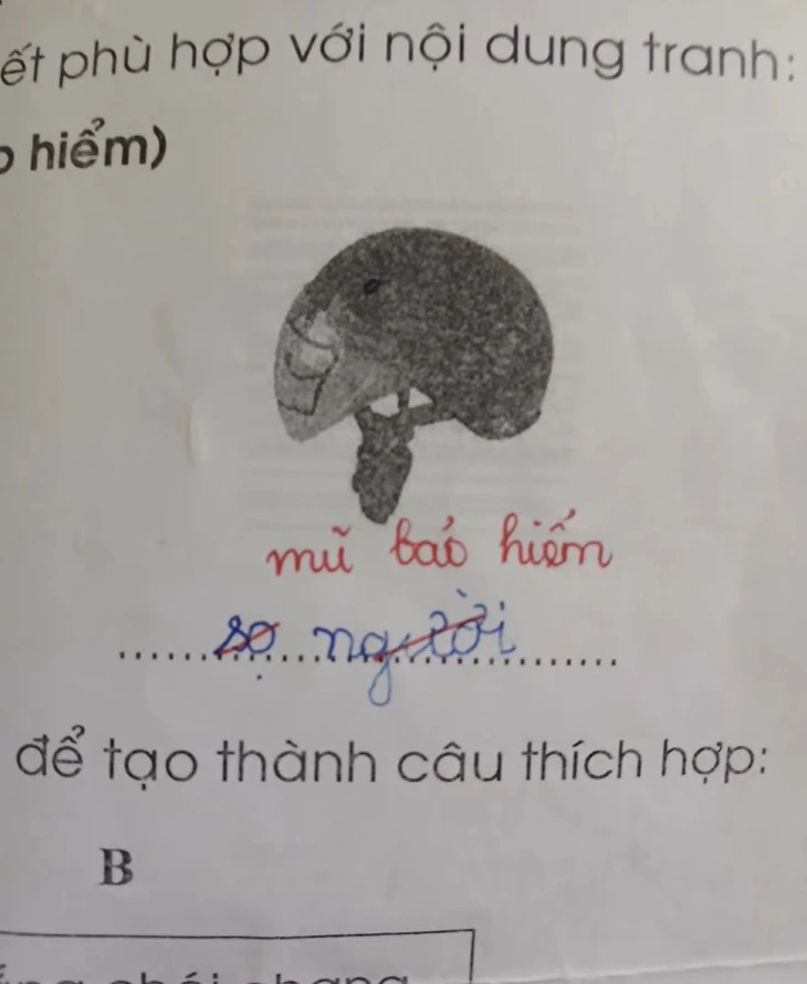 sỏi - Ảnh 2.