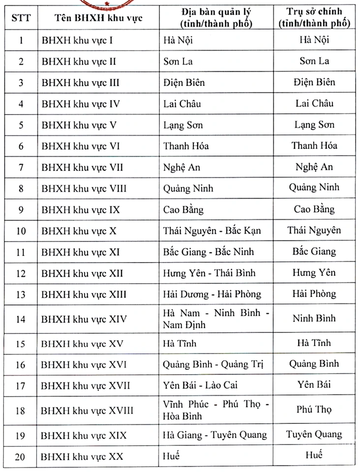 bảo hiểm xã hội - Ảnh 2.