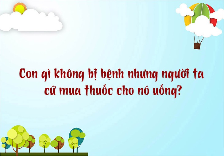 câu đố - Ảnh 5.