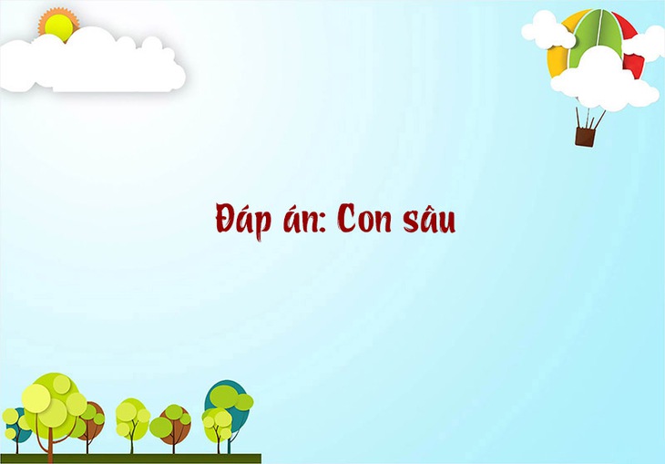 câu đố - Ảnh 6.