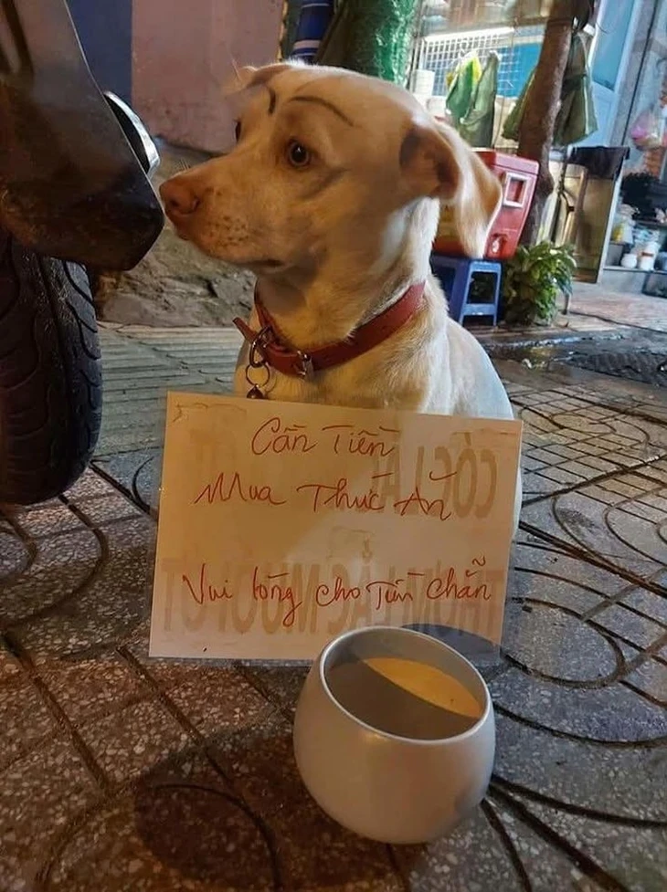 đứng hình - Ảnh 3.