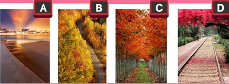 Quiz - Ảnh 1.
