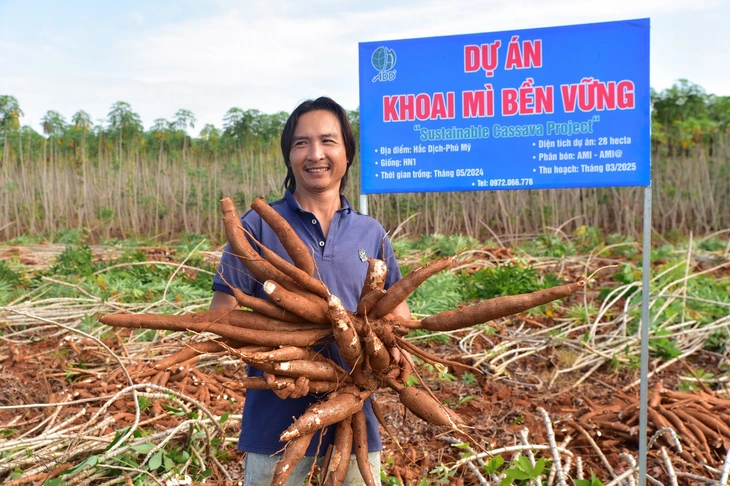 khoai mì - Ảnh 2.