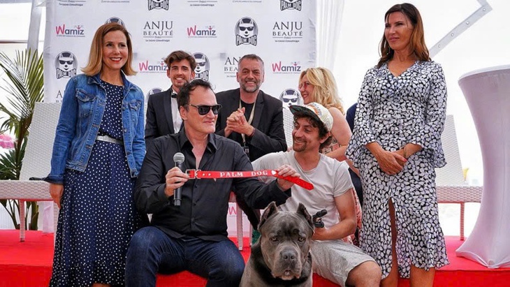 Giải Palm Dog kỷ niệm 25 năm tôn vinh các diễn viên bốn chân trên màn ảnh tại Cannes - Ảnh 4.