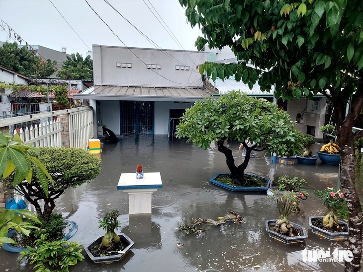 ngập - Ảnh 2.