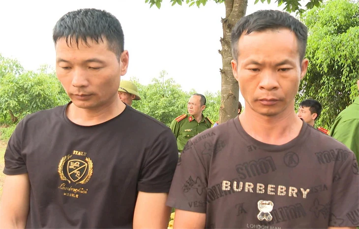 Lê Túc Tông - Ảnh 1.