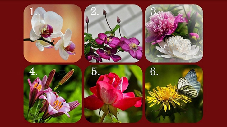 Quiz - Ảnh 1.
