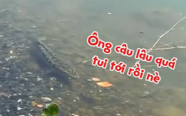 Về rốn cá U Minh Thượng xem dân 'săn' cá lóc đồng sống lâu năm, có con nặng hơn 1 kg - Ảnh 8.