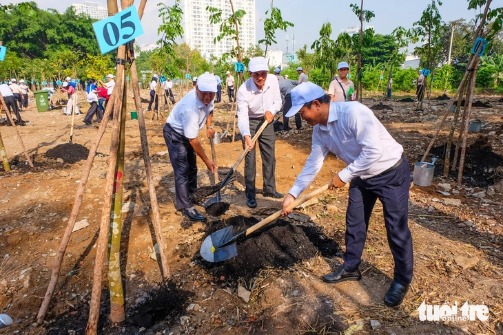 cây xanh - Ảnh 1.