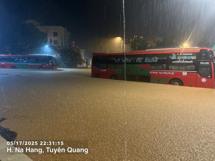 mưa to - Ảnh 1.